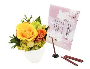 ԁZbg (vgCG[Fサ킹) ~j  { Zbg vU|uht[ r d [ ~