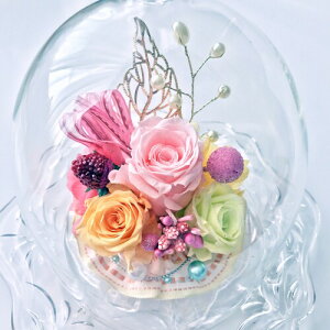 NEW _CAi welzo EF] IWii vU[uht[ KN3 KXh[ pXeMIX