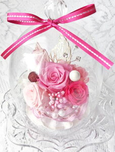 NEW _CAi welzo EF] IWii vU[uht[ KN3 KXh[ sN