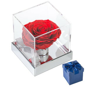 vU[uht[ o Mtg  LO a Happy birthday v|[Yp̃oY hCt[Mtg{bNX ͂Ȃ Ȃփv[glC  hV̓ ޏ 