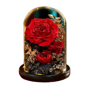 vU[h t[ ͂Ȃ  a  Mtg KN hCt[ t[ MtgKXh[ LEDCg ̂ aFB ̓ӂNւ̌hӋLOv