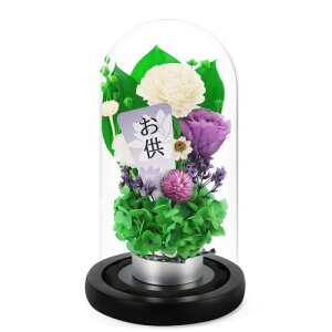 vU[uht[   SENJWARM  r   ~ @ vU[uht[ dp  ͂Ȃ   l\ ފ V~ ~ ފ @ ybg