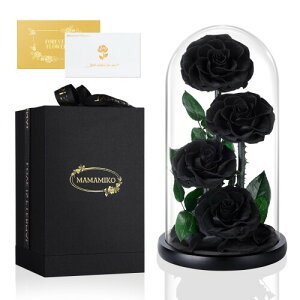 vU[uht[ F 4 ͂Ȃ{KN õKXh[ av[g j LO  lC  v[g