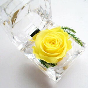 vU[uht[ ~jAW o[Y v[g ̓ tOX\[vt[ o^CMtg aj }`bN jE  l Əj