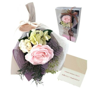 t[rW vU[uht[ ~ju[P XbO (bZ[WJ[ht/2Way) (V[xbgsN, ̓J[h)