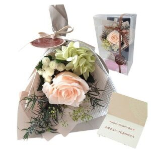 t[rW vU[uht[ ~ju[P XbO (bZ[WJ[ht/2Way) (V[xbgIW, ̓J[h)