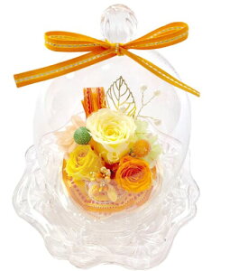 NEW _CAi welzo EF] IWii vU[uht[ KN3 KXh[ CG[IW