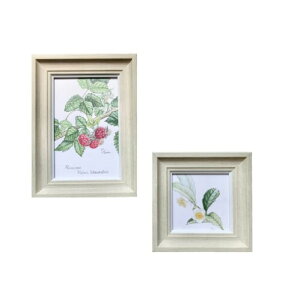 milkcat tHgt[ z fUCtHgt[  PStH[ vLVKX y u|p (C ItzCg2Zbg)