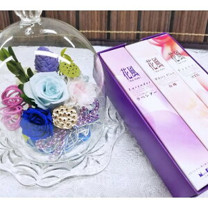 r vU[uht[ @Zbg KXh[ ފ dp [ i ~ (@ԕ O)