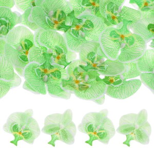 M METERXITY 20̐lH̉Ԃ̃wbh VN̋U̒̉Ԃ̃wbh EFfBO/u[P/ԉ/p[eB[̑p tFCÑtBmvVX̉Ԃт̑ (2.76" )