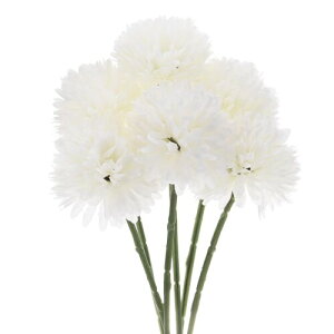 M METERXITY 6 lHLN{[  11" tFCNAWTCVNu[P A^b` tFCNt[ ƒ//NX}X/p[eB[/K[fItBXp(N[zCg)