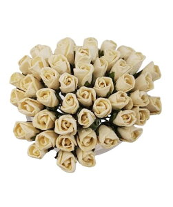  o ڂ  ~jTCY ItzCg 50{Zbg 20FWJ a  nhChf y[p[t[ ~j`Ap 7x14mm