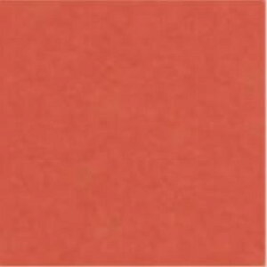 NTV 116g  A3TCY250 F