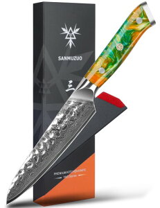 SANMUZUO 5 Inch Utility Knife - Fruit and Vegetable Knives, 67 Layers Forged Damascus Steel & Resin Handle - Yao Series