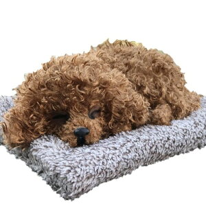 LilMou 킢A  u ʂ   Q 킢 A Y L EL  ԓ CeA Mtg v[g G  (gCv[h)