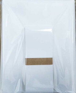 ЂȐl` ۊǗp a20 aю20