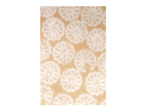 TOa pup (1Zbg100) e ()(Py[WTCY)