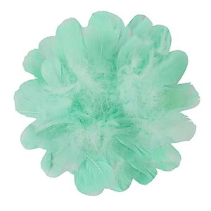 Doyeemei HV[ tFU[V[ H Ղ 200 H Ղ 200 tFU[ EFfBO  a Cxg p[eB[ |ޗ DIY ()