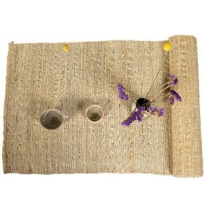 e[ui[  Dz  VRfރVv fpȃ_ ؕa̎тёT fMe[uی H eB[}bg rO[ Xg 