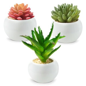 tFCNO[ ϗtA tFCN lHϗtA lHA  G} ~j A 3 CeA ~j~ tFCNO[  G  Mtg