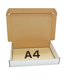 A4 Eސ NAt@Ci{[P[X o[VuŎgp(230×332×53mm)