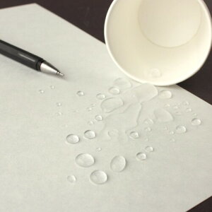 SOHO^[ ϐa 150 A4 50