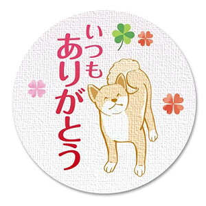 �M�t�g�V�[�� ���b�s���O ����V�[�� ���� ���a3.2cm 50���i5�V�[�g�j ���{�� (�������肪�Ƃ�)