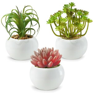 tFCNO[ ϗtA tFCN lHϗtA lHA  G} ~j A 3 CeA ~j~ tFCNO[  G  Mtg