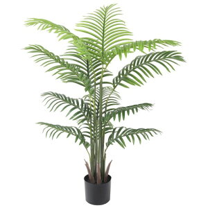 YOLEO tFCNO[ lHϗtA 120cm lHϗt  G} ^ CeA bȂ  Lb` ItBX  lH jiAJVj