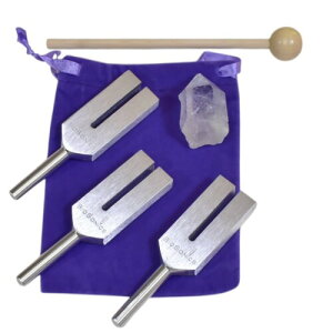 (Zhi̖@)biosonicsА GWF`[i[ 4096HzE4160HzE4225Hz 3{Zbg N̏򉻗́A򉻃vXAt@߂vp NX^`[i[ `[jOtH[N