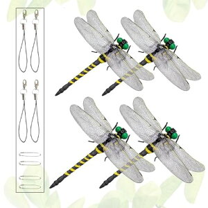 (WOXDECO)  g{ {TCY A tBMA vf  ͌^ IWi ނ Lv o[xL[ ނ C K[fjO tsƃXgbv