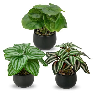 Villa Como CeA O[ tFCNO[ lH ϗtA tFCN  A  e[ufR[V GAvc 킢  Mtg 픫 3_Zbg (|gX