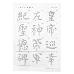 Y ̗̏K ́A鎆 历` ԂZbg S  _R