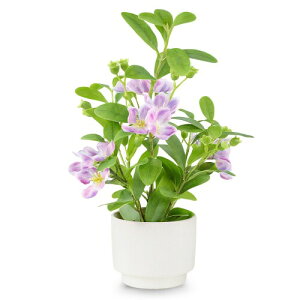 lHϗtA LER ~jtFCNO[ p sv  CeAG  MtgΉ ̓ ̓ v[g t