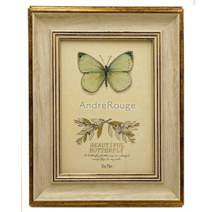 Ah[W tHgt[ ʐ^ ʐ^ ʐ^X^h ͂ 2L  AeB[N i` (2L, x[W)