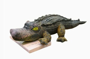 ���j �N�b�V���� �ʂ������ ������ ������ �k ��� ���� �C���e���A ঒��� ������ wani ����