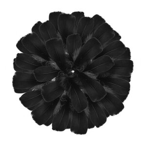 TRX HV[ tFU[V[ Ղ H Ղ |ޗ tFU[ DIY  Cxg EFfBO a p[eB[ o (100CubN)