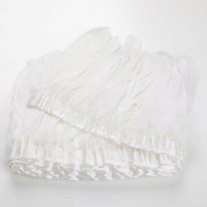 ASPALAND H tW H  ANZT[ DIY RXv HV[ S  2[g (zCg)