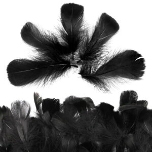 H tFU[V[ 200 ӂDȉH Ղ | ޗ DIY EFfBO  p[eB[ Cxgo a LO tHgvbv (ubN)