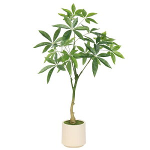 FEELEAD tFCNO[ lHϗtA pL K̖ G} A A 98cm CeAO[  p