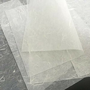 50 历 CXy[p[ 鎆  n  A4TCY