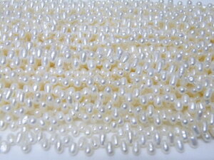 Wp[ ^ zCg(Y) CX^NIpg 3.0`3.5mm Ai38`40cmj