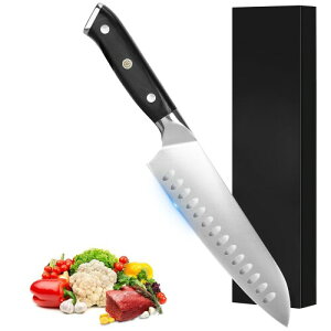 VGTEN O  170mm\ n Ή hCc1.4116XeX| s؂ꖡ H@Ή ƖpEƒp