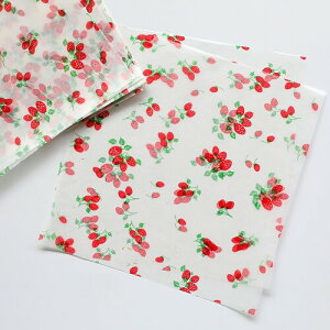 Kurimi P[L~ ThCb`p sNjbNp~ 18*18cm 20 킢 (C`S)