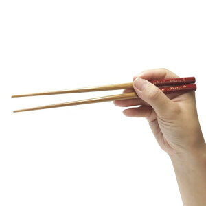 VR| { ͂  a _ ؔ | ׂ~ ƒp ( p21cm)