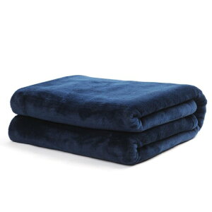 Filersong ѕz Z~_u ~p uPbg }CNt@Co[ _炩ɗD tl 􂦂 ÓdCh~ lGʗp (lCr[, 200×160 cm)