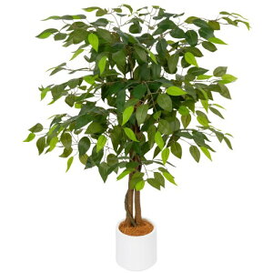 Melvint tFCNO[ ^ tA tFCN lHtA G}  sv ȒP C L R Vv   CeA ^ lH A t 