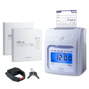 VOICE(HCX) ^CR[_[VT-2000{ ^CJ[h 300 (100×3) t {
