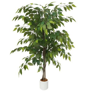 Melvint tFCNO[ ^ tA tFCN lHtA G}  sv ȒP C L R Vv   CeA ^ lH A t 