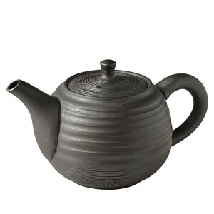 風景ドットコム 常滑焼 ポット 急須 205i 陶製茶こし セラメッシュ 黒 310ml 2〜3人用 日本製